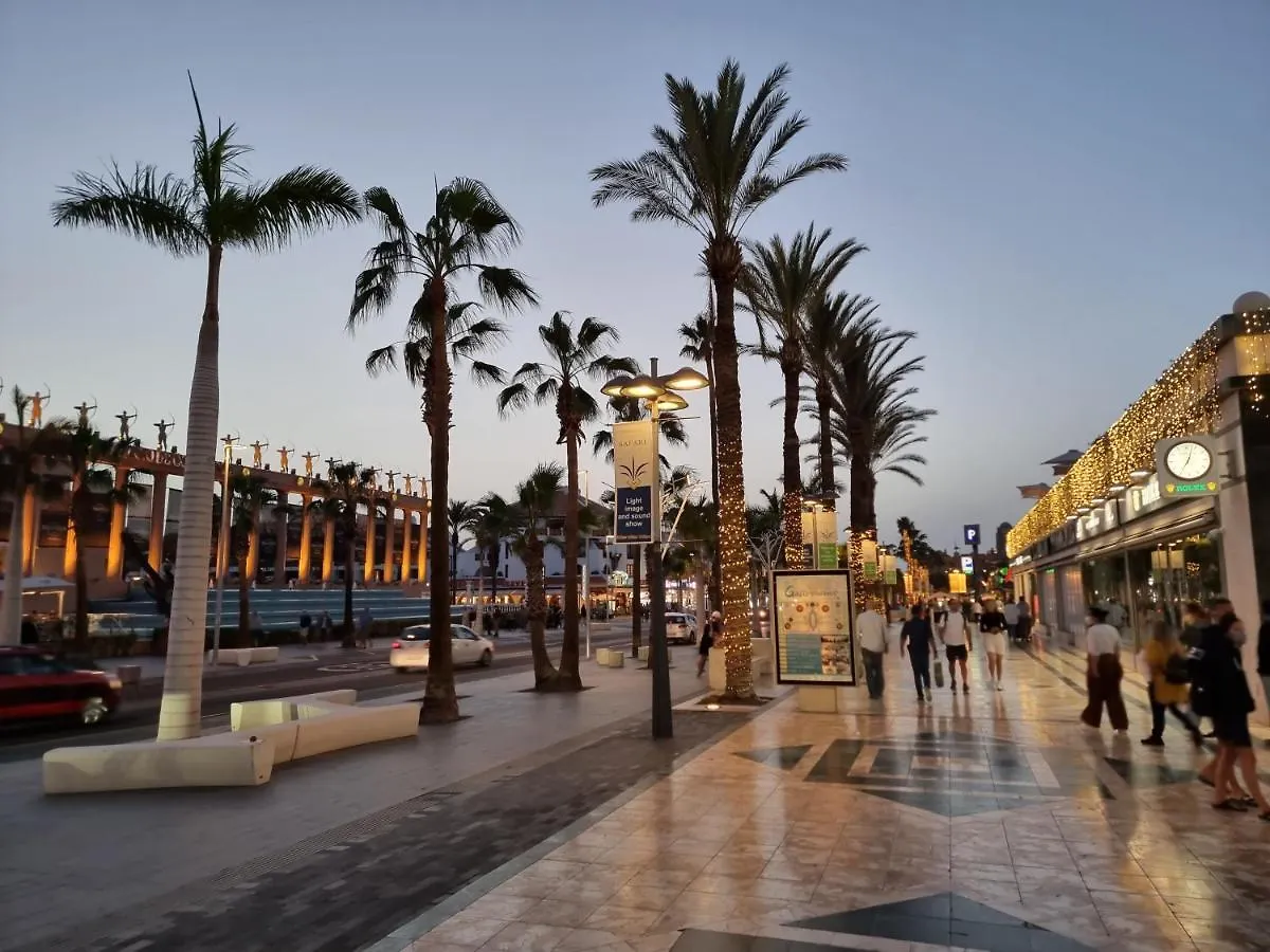 Duplex Apartment Vistamar, Sea-View, Heated Pool In Parque Santiago 2, Wifi Playa de las Americas   Playa de las Americas (Tenerife)