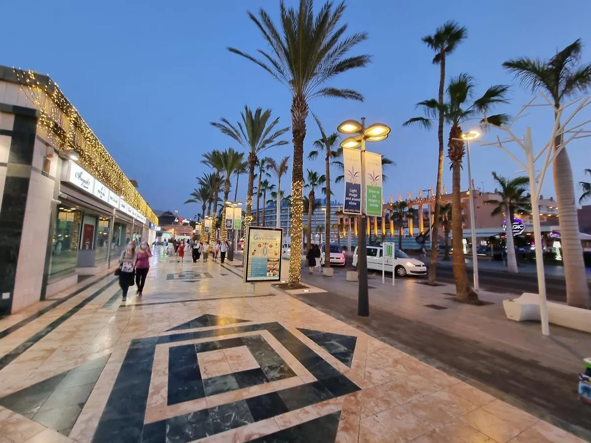 Duplex Apartment Vistamar, Sea-View, Heated Pool In Parque Santiago 2, Wifi Playa de las Americas  Playa de las Americas (Tenerife)